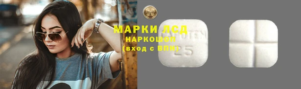 ГАЛЛЮЦИНОГЕННЫЕ ГРИБЫ Белоозёрский