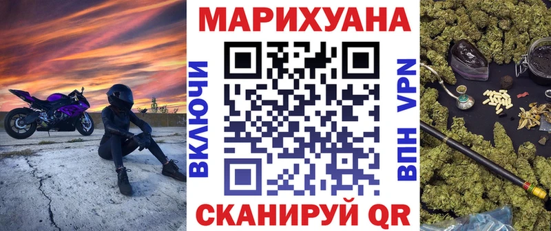 Каннабис OG Kush  Старица 